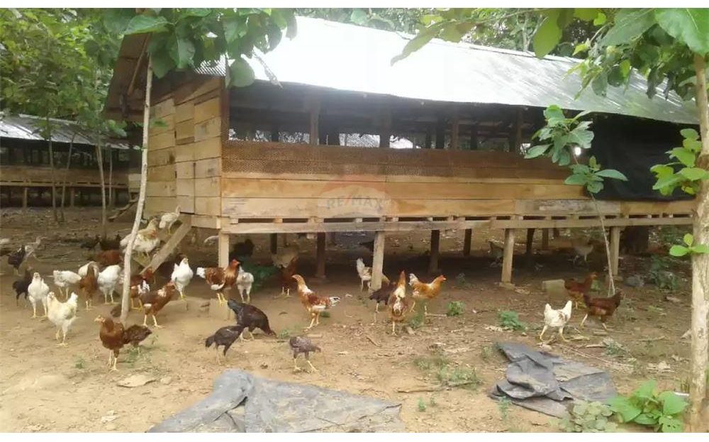 Poultry Farm for Sale in Pullumalai, Batticaloa Re/Max North Realty Jaffna Real estate, Re