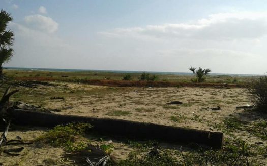 Beach Front Land for sale in Mullaitivu