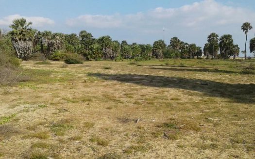 Beach Front Land for sale in Mullaitivu