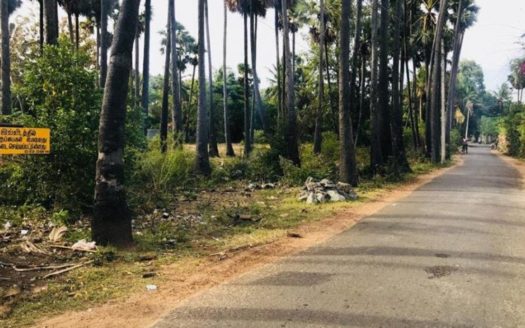 Land for sale in Chankanai East, Chankanai, Jaffna