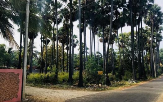 Land for sale in Chankanai East, Chankanai, Jaffna