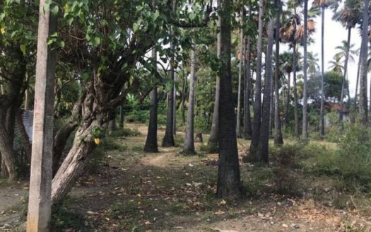 Land for sale in Chankanai East, Chankanai, Jaffna