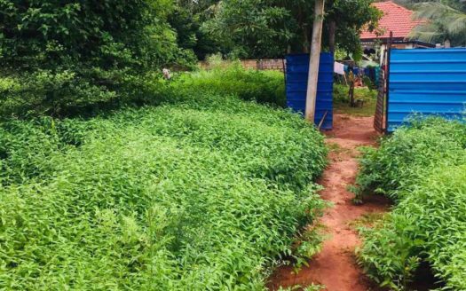 Land For Sale in Thellippalai Kovilpattu, Tellippalai, Jaffna.