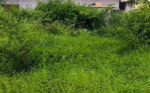 Land For Sale in Thellippalai Kovilpattu, Tellippalai, Jaffna.
