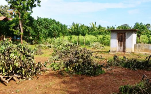 Land for Sale in Thellipalai