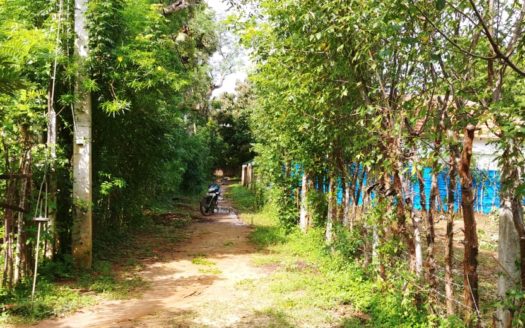 Land for Sale in Thellipalai