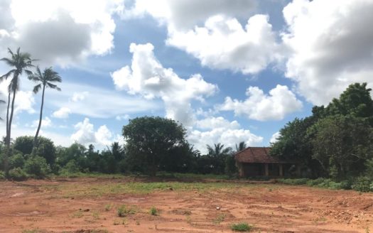 Land For Sale In Nilavarai Road, Punnalaikattuvan.