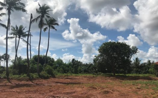 Land For Sale In Nilavarai Road, Punnalaikattuvan.