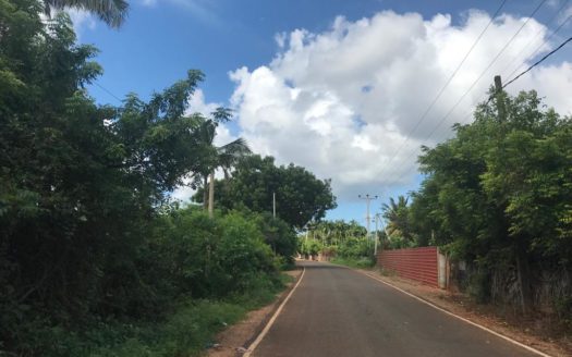 Land For Sale In Nilavarai Road, Punnalaikattuvan.