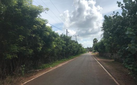 Land For Sale In Nilavarai Road, Punnalaikattuvan.