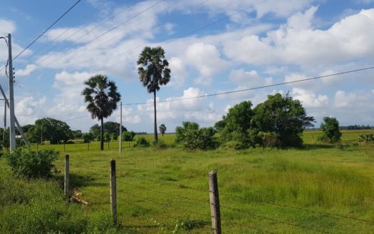 Road Site Land for sale in Navatkuli, kerateevu road