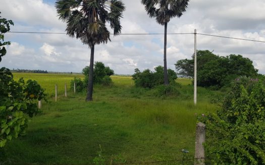 Road Site Land for sale in Navatkuli, kerateevu road