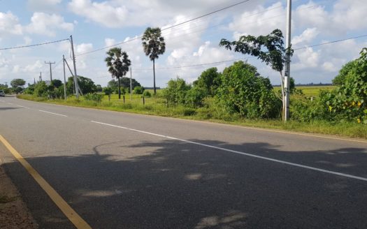 Road Site Land for sale in Navatkuli, kerateevu road