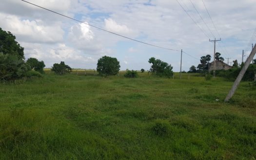 Road Site Land for sale in Navatkuli, kerateevu road