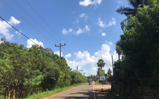 House with Farm land for Sale in Eeveni Road, Punnalaikattuvan