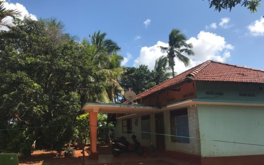 House with Farm land for Sale in Eeveni Road, Punnalaikattuvan