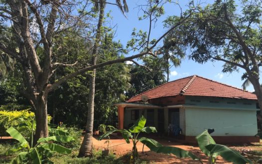 House with Farm land for Sale in Eeveni Road, Punnalaikattuvan