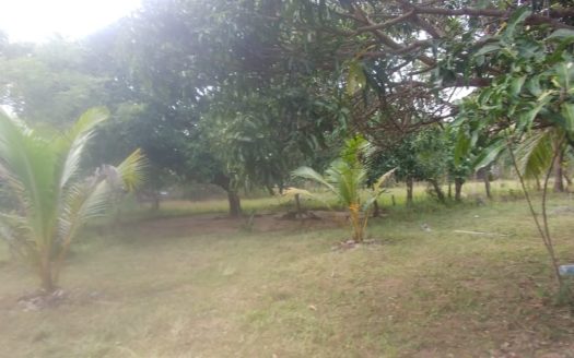 One Acre Land for sale in Kanakapuram, Kilinochchi.