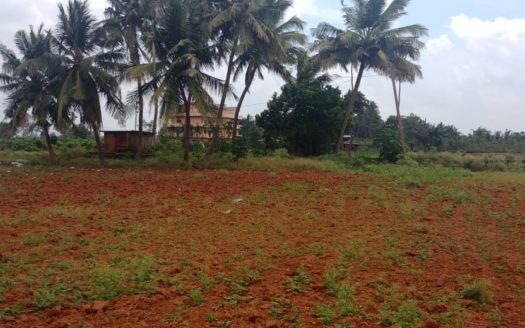 Land for sale in Kondavil.