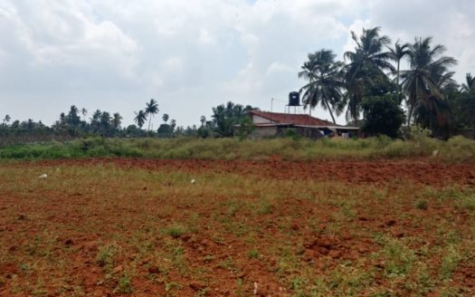 Land for sale in Kondavil.