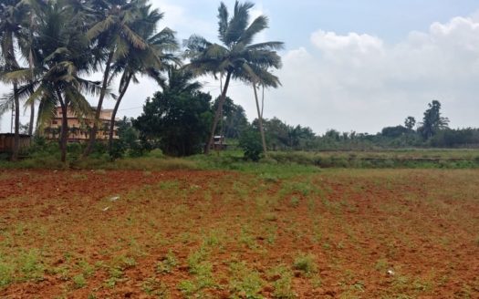 Land for sale in Kondavil.