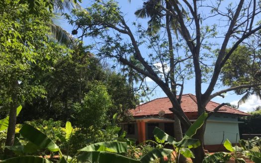 House with Farm land for Sale in Eeveni Road, Punnalaikattuvan