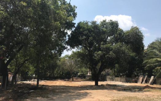 Land For Sale in Chundukuli (in front of St.Johns School)