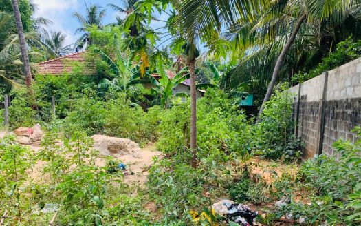 Land for sale in Thavady, Kokkuvil West