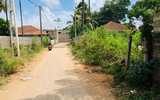 Land for sale in Thavady, Kokkuvil West