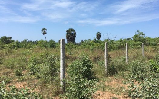 Land For Sale In Kaithady