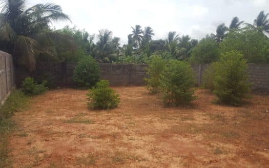Land For Sale in Thinnaveli