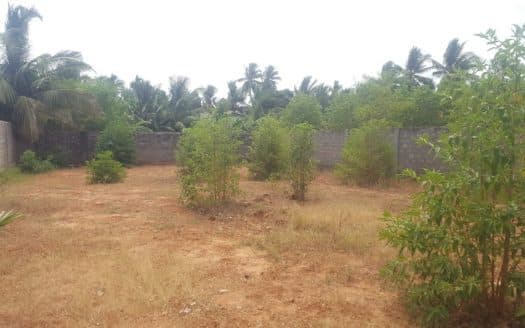 Land For Sale in Thinnaveli
