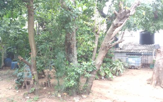 Commercial Land with House for sale in Colombo 15.🏡