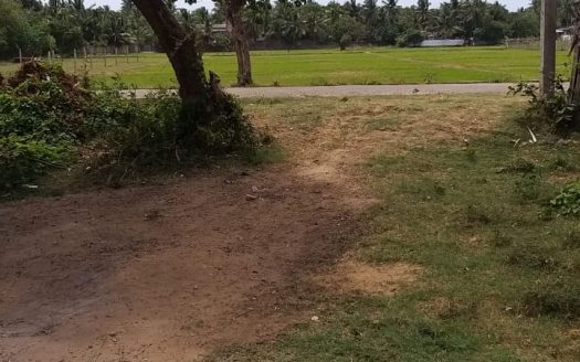 Land for sale in Nayanmarkaddu