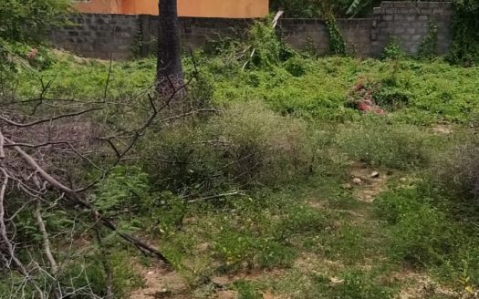Land for sale in Nayanmarkaddu