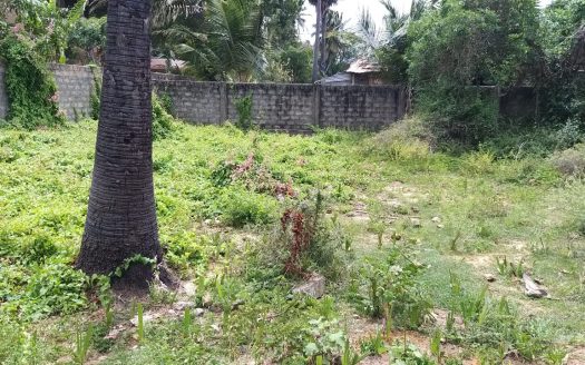 Land for sale in Nayanmarkaddu