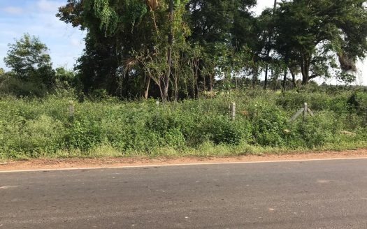 Road facing Land for sale in Thellipalai ( Thellipalai to Pandatharipu)