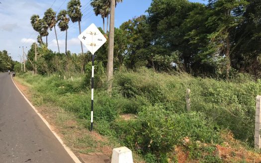 Road facing Land for sale in Thellipalai ( Thellipalai to Pandatharipu)