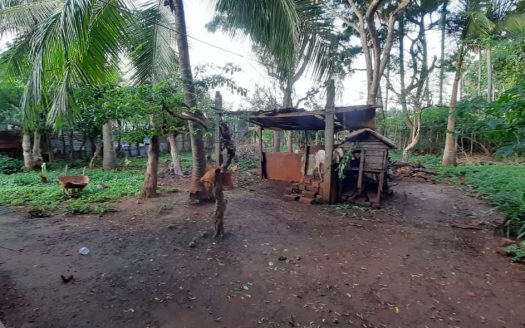 House and Land in Uduvil for sale.
