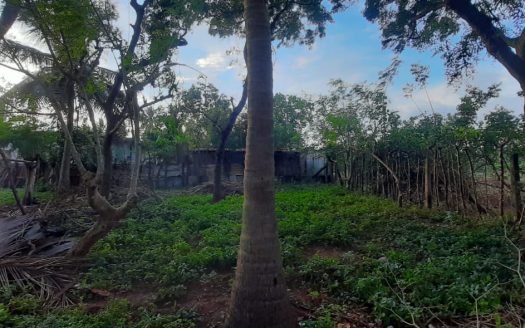 House and Land in Uduvil for sale.