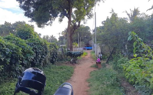 House and Land in Uduvil for sale.