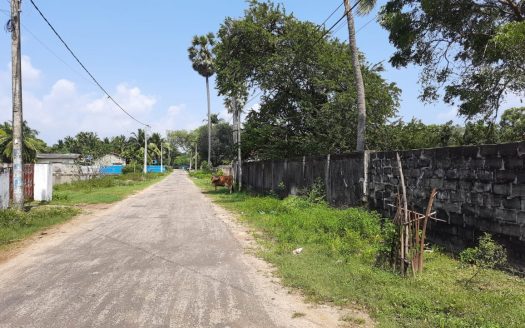 Land for sale in Columbuthurai