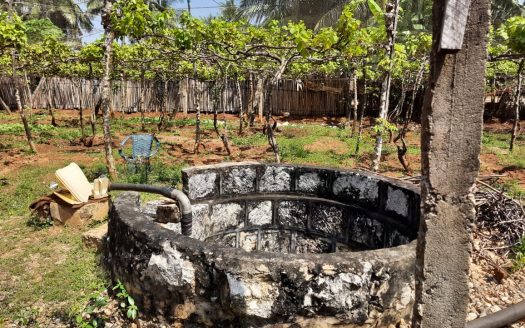 Land for sale in Urumpirai