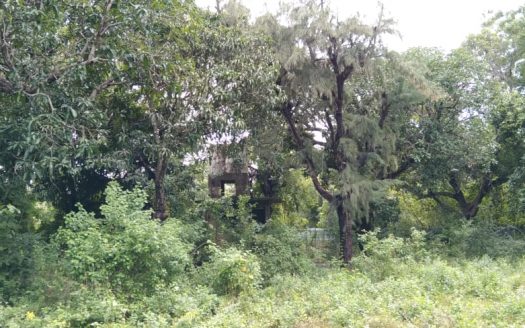 Land for sale in Chavakachcheri