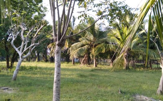 Land for sale in Nunavil