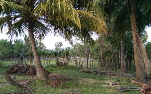 Land for sale in Nunavil