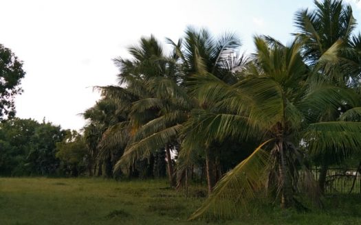 Land for sale in Nunavil