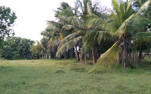 Land for sale in Nunavil