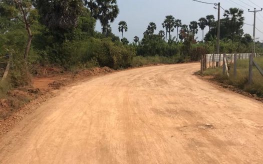 Land for sale in Thaiyiddy road, Saantha junction.