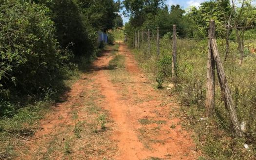 Land for sale in Thelipalai, just 200m from Tellipalai Base Hospital.
